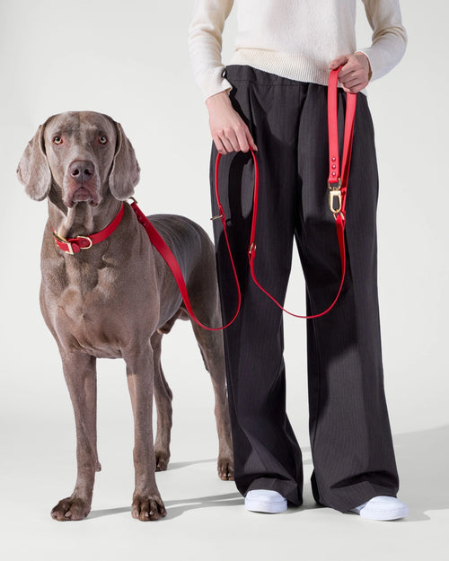 3-Way Hands-Free Leash + Collar Set — Crimson Red image 1