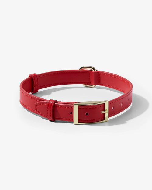 Microfibre Leather Collar - Crimson Red