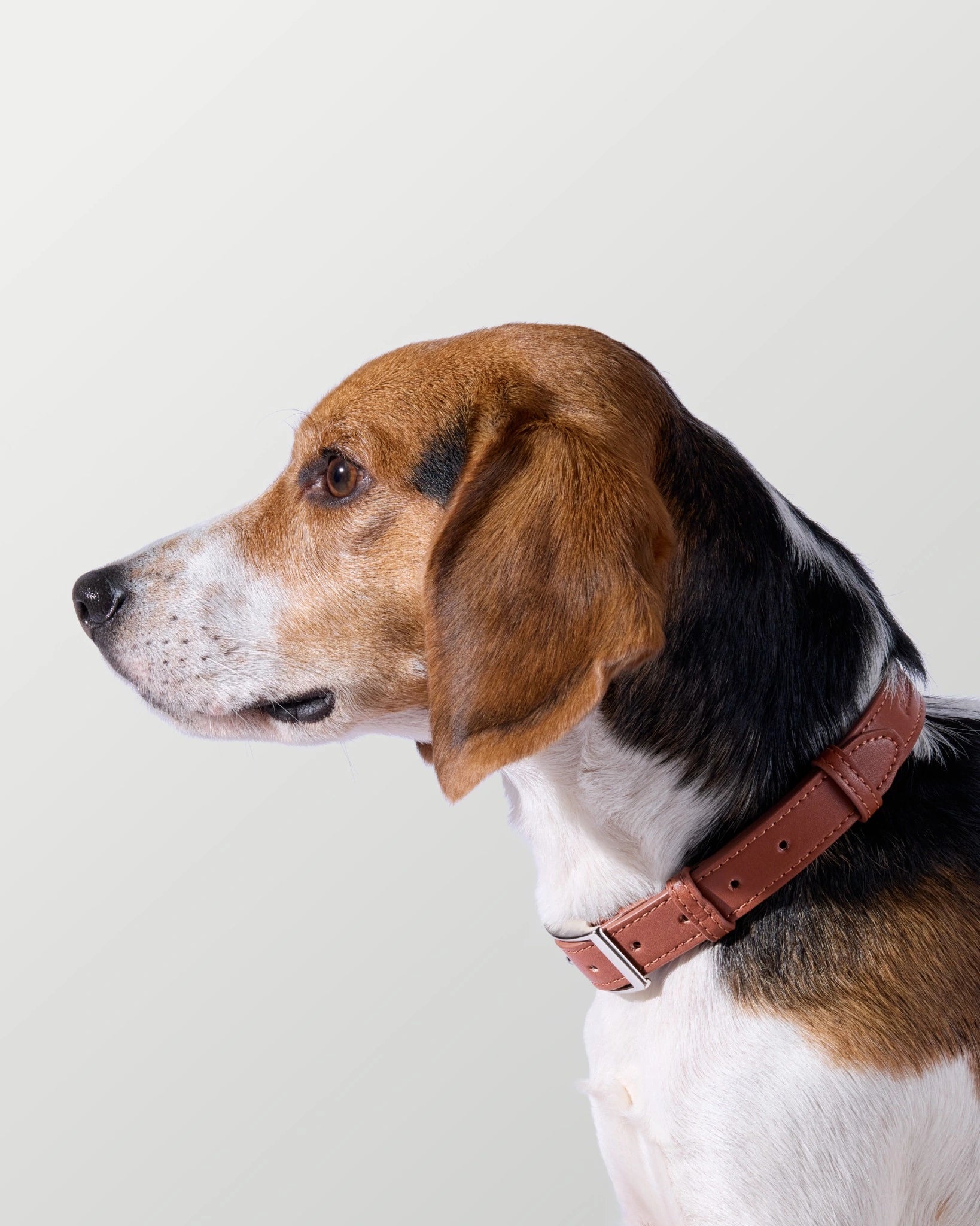 Chestnut Brown Walk Set — Microfibre Leather image 8