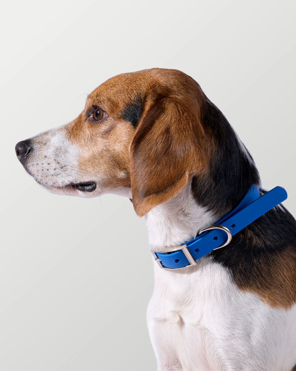 3-Way Hands-Free Leash + Collar Set — Ocean Blue image 9