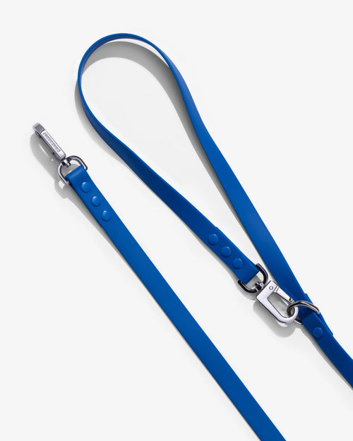 3-Way Hands-Free Leash + Collar Set — Ocean Blue image 0