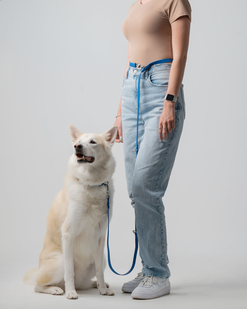 Ocean Blue 3-in-1 Hands-Free Convertible Leash