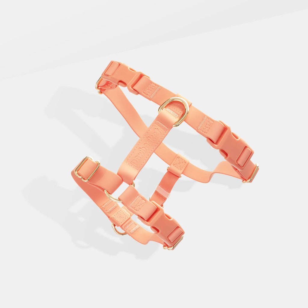 Coral Pink Waterproof Harness