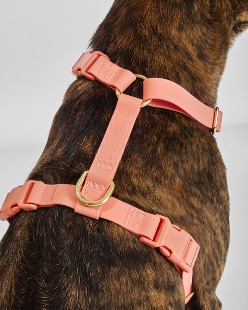 Coral Pink Waterproof Harness