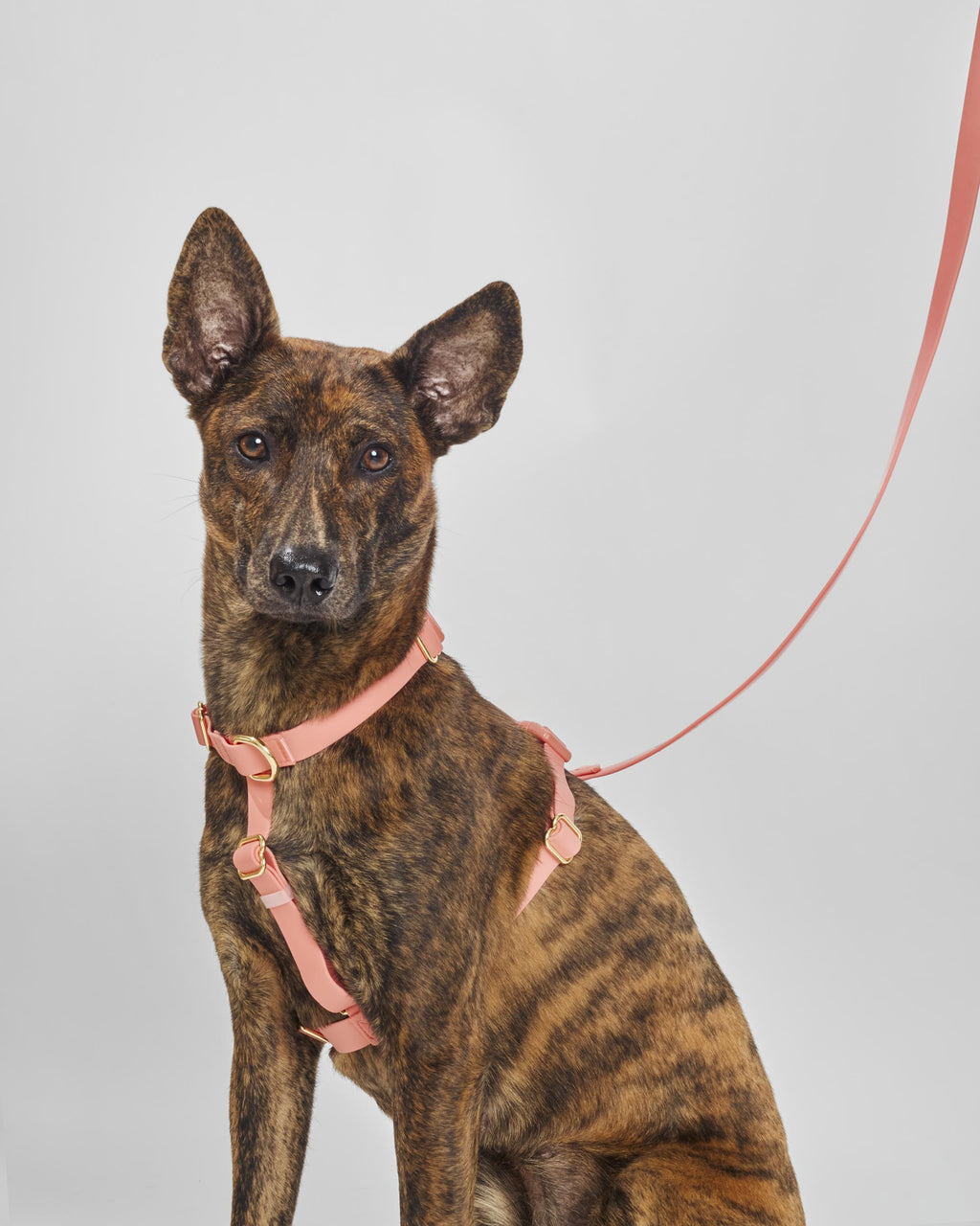 Coral Pink Waterproof Harness