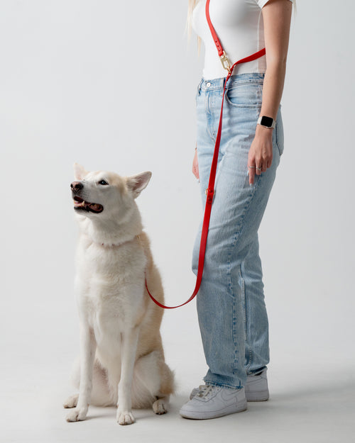 3-Way Hands-Free Leash + Collar Set — Crimson Red