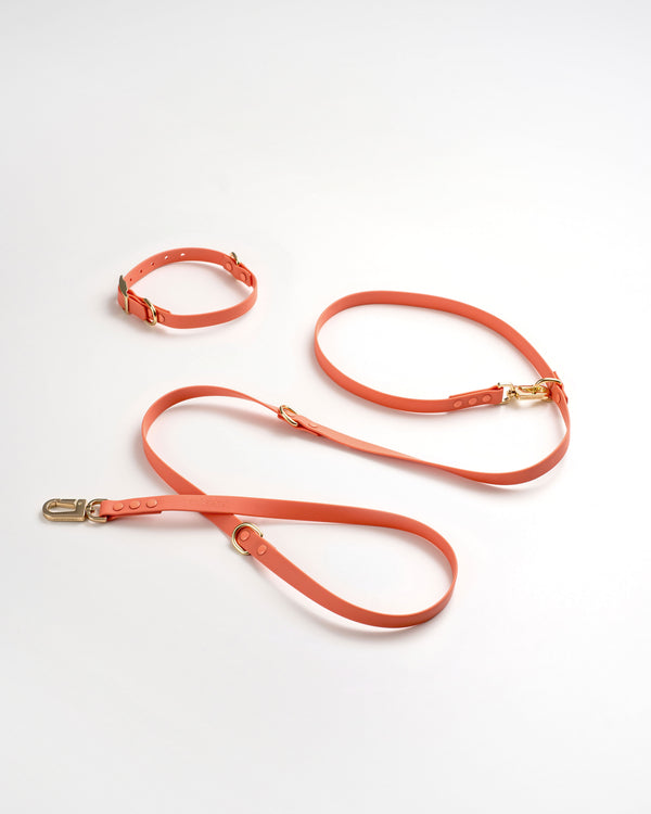 3-Way Hands-Free Leash + Collar Set — Coral Pink