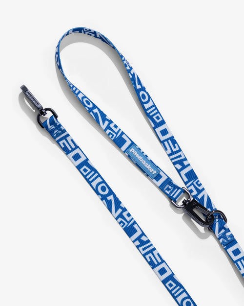 Marine Blue Walk Set — 3-in-1 Leash + Collar
