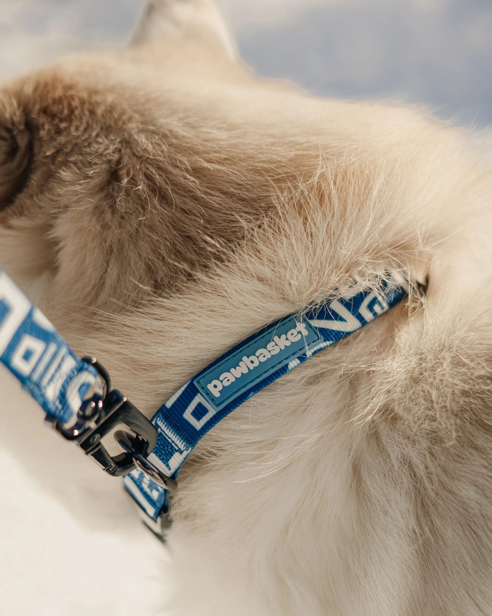 Marine Blue Walk Set — Polyester image 12