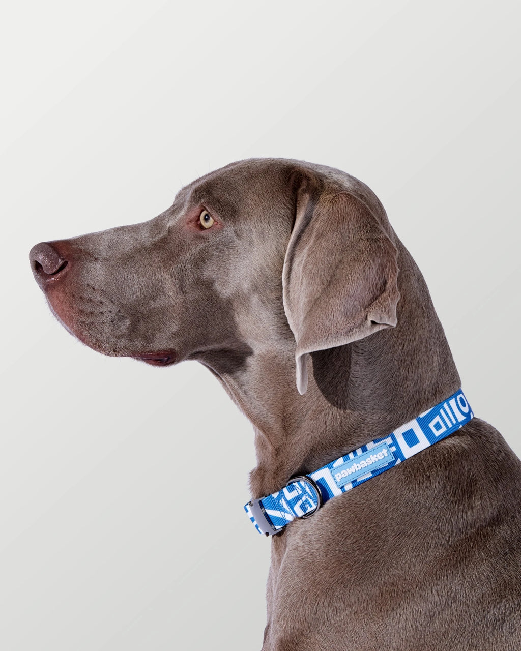 Marine Blue Walk Set — Polyester image 8