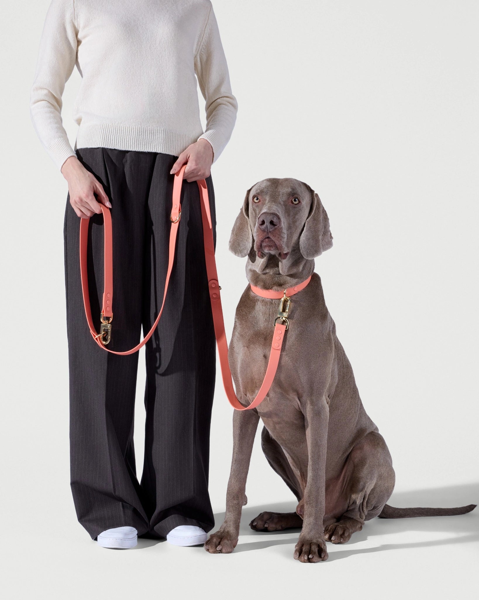 3-Way Hands-Free Leash + Collar Set — Coral Pink image 1