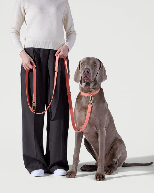 3-Way Hands-Free Leash + Collar Set — Coral Pink image 1