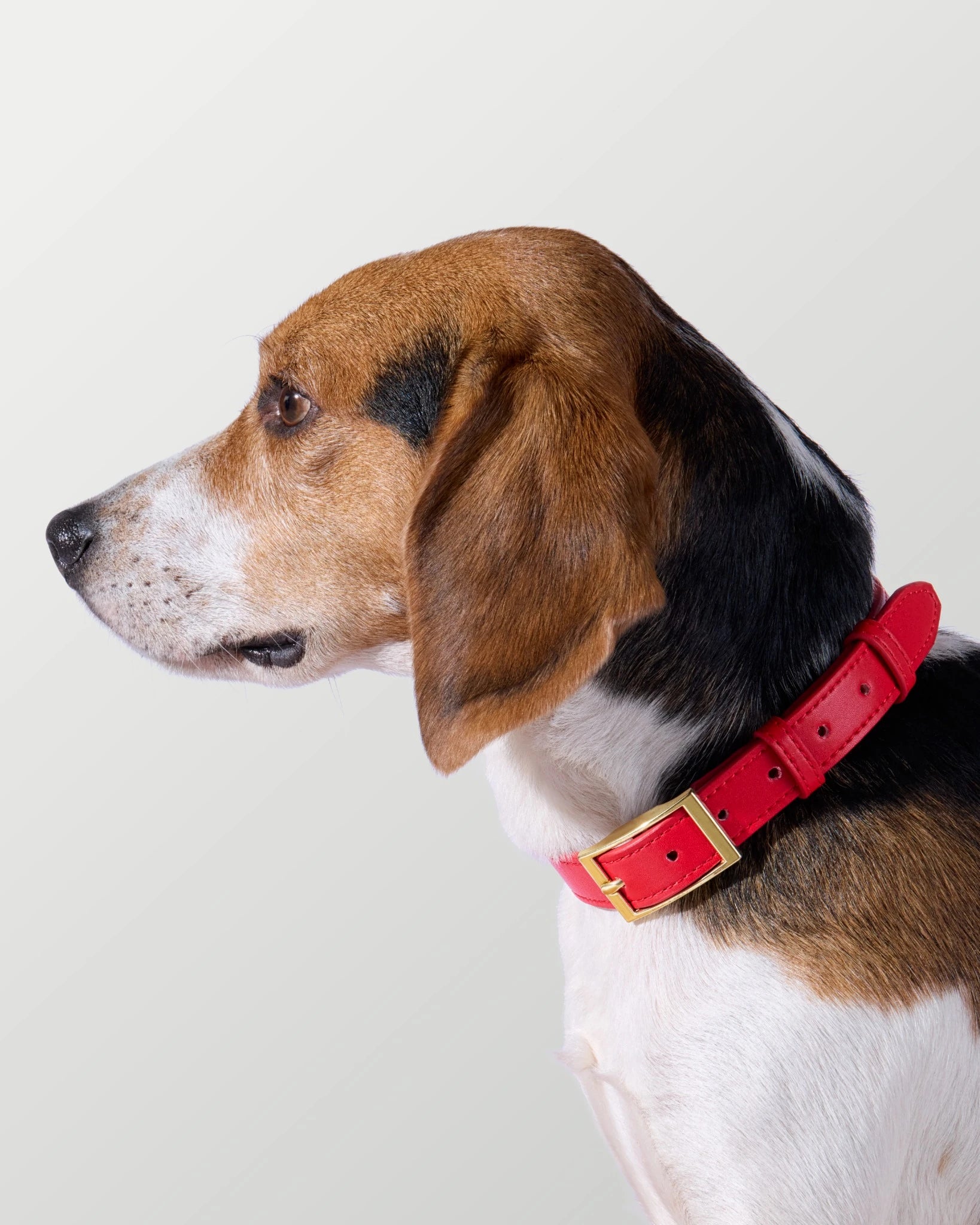 Crimson Red Walk Set — Microfibre Leather image 8