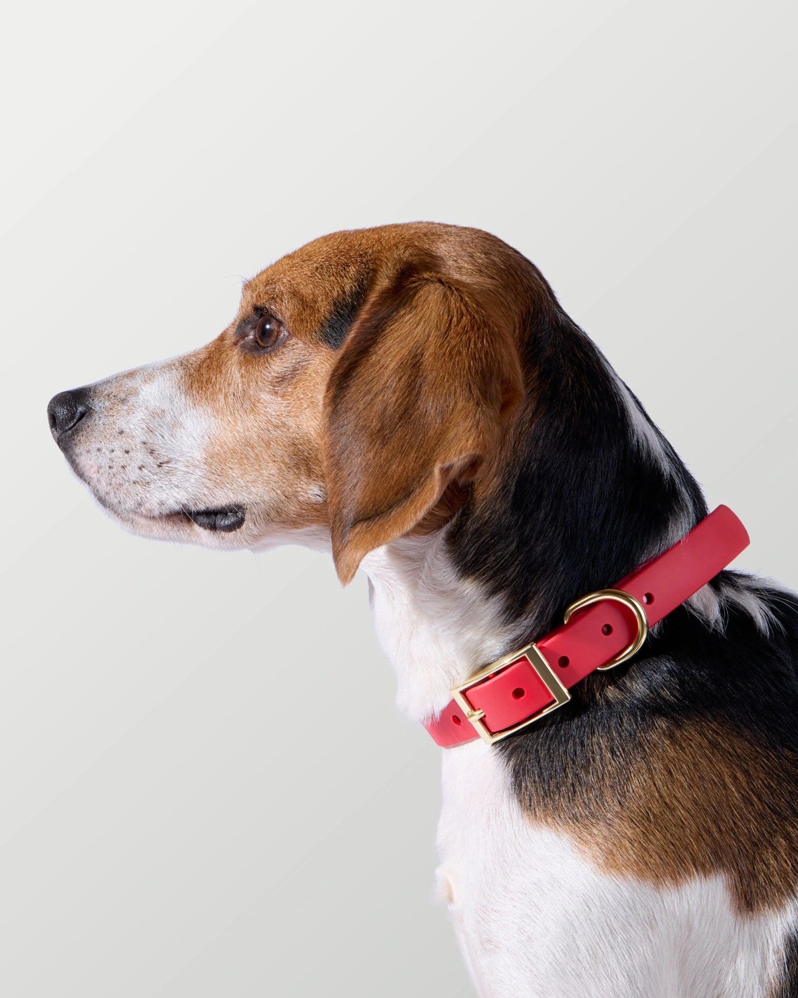 3-Way Hands-Free Leash + Collar Set — Crimson Red image 9