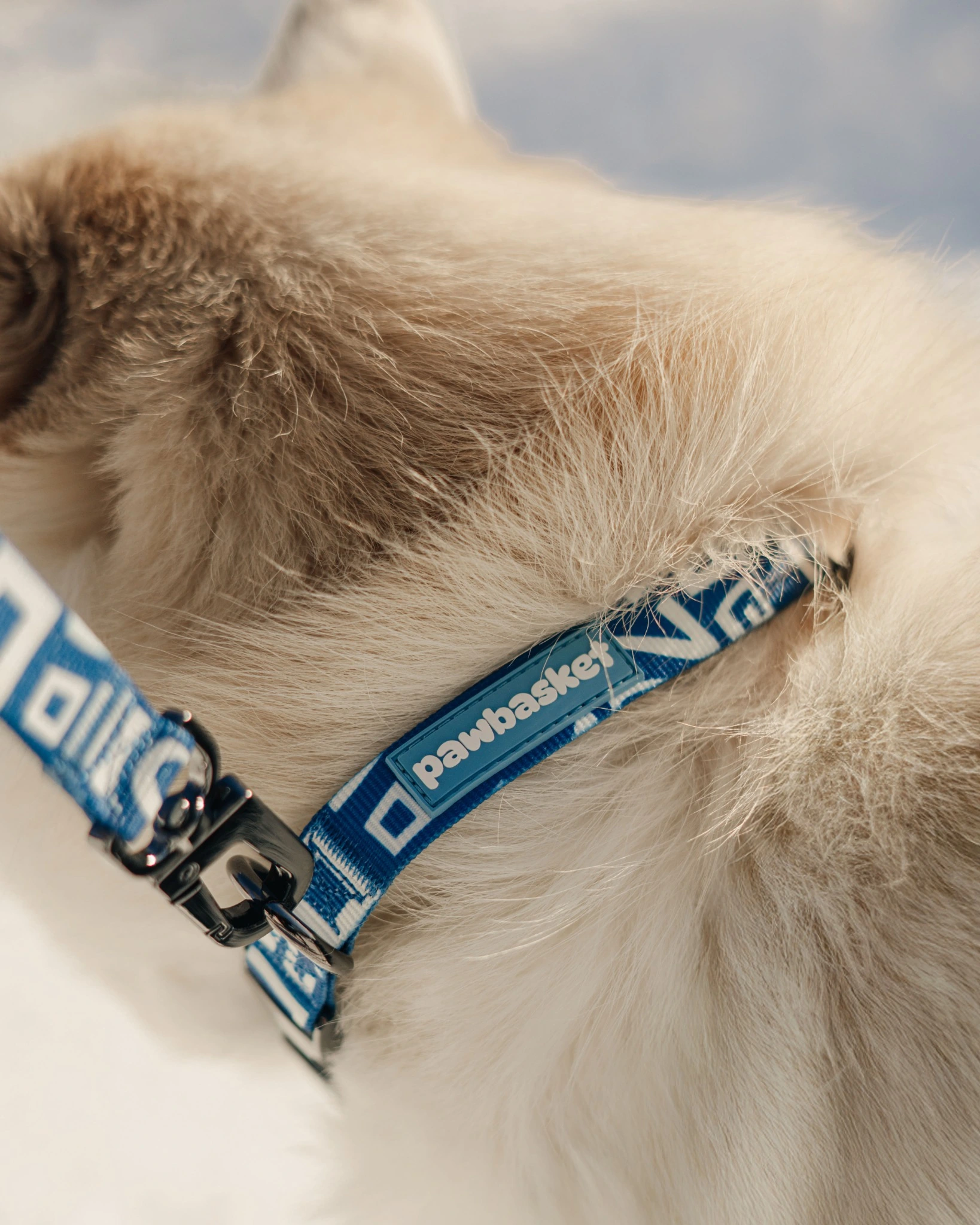 Marine Blue Walk Set — Polyester