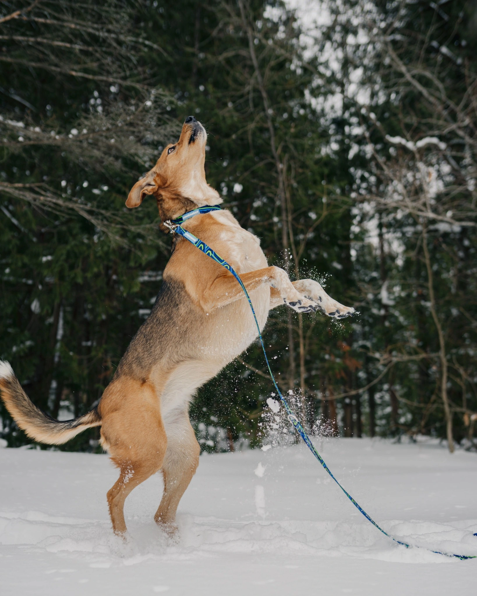 Neon Wave Walk Set — Polyester